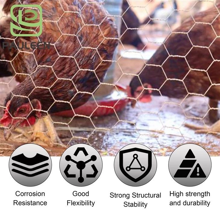 Electric Galvanized Hexagonal Wire Mesh factory