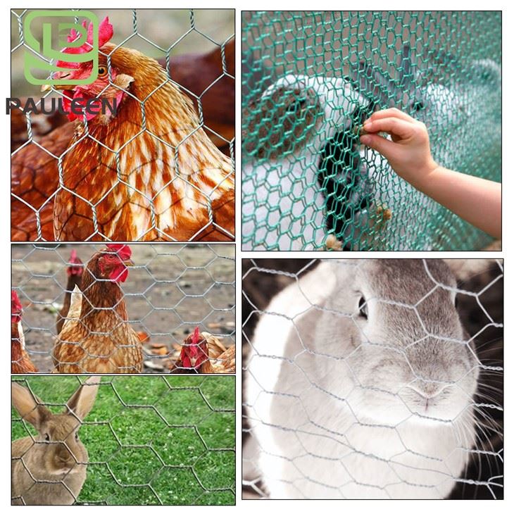 Hexagonal Gabion Mesh best